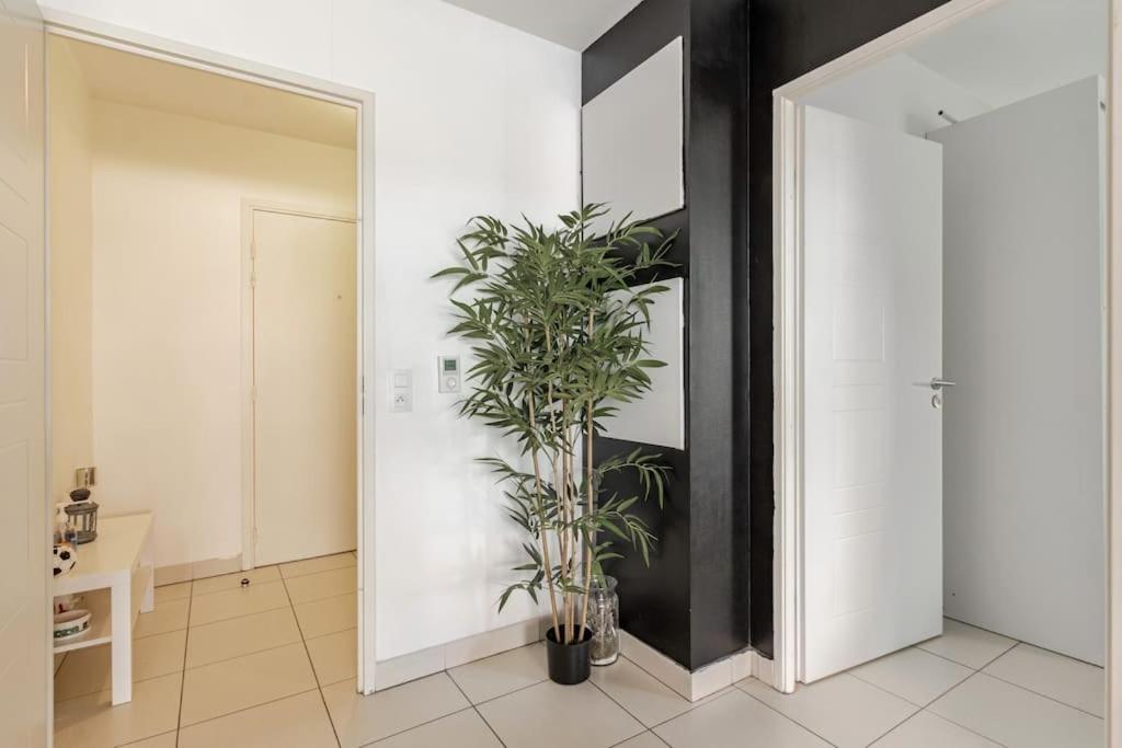 Appartement Cosy Et Chic Montpellier Buitenkant foto